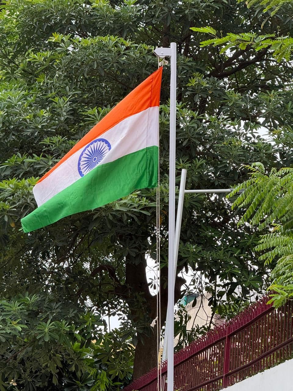 Independence Day Celebration - Gallery image 1